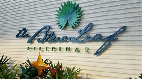 blue leaf filipinas|BLUE LEAF FILIPINAS .